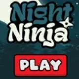 Night Ninja